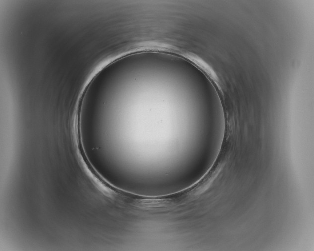 X0000113071391200908281145