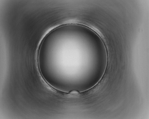 X0000113071392200908281145