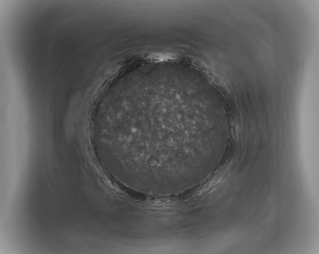 X0000113071393200908281145