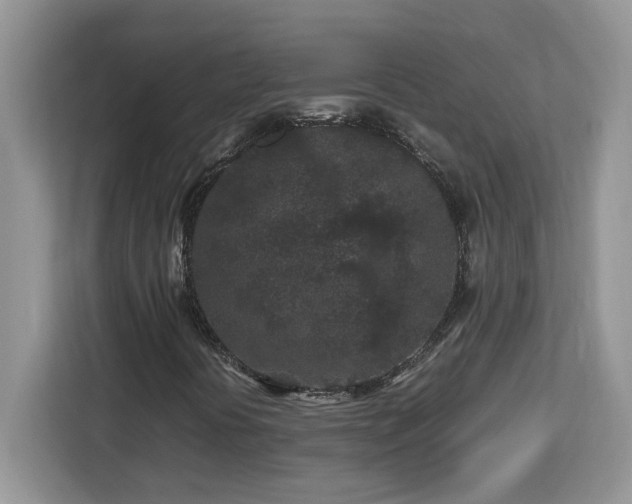 X0000113071394200908281145
