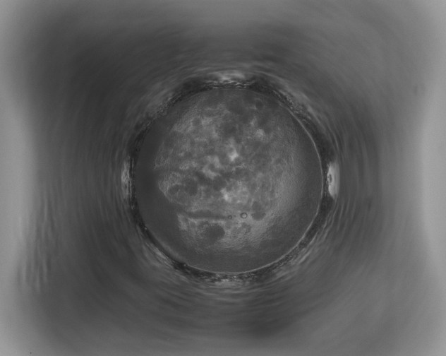 X0000113071395200908281145