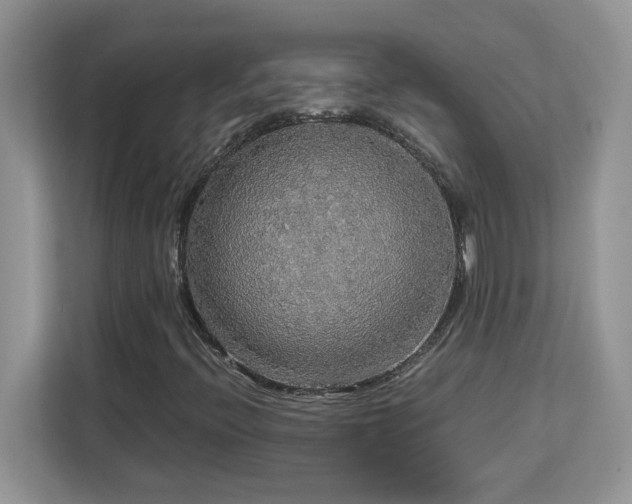 X0000113071396200908281145