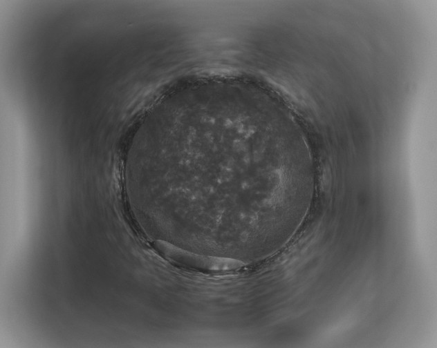 X0000113071397200908281145
