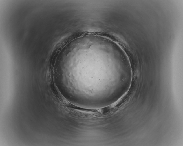 X0000113071398200908281145