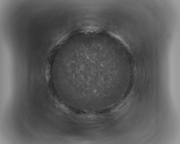 X0000113071399200908281145