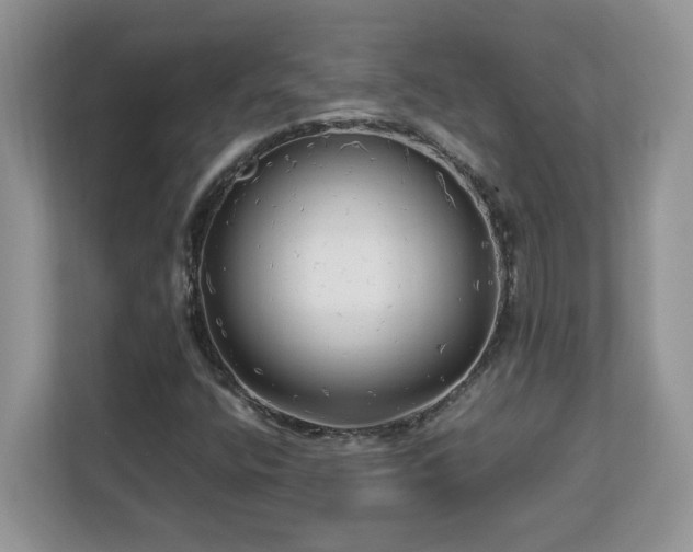 X0000113071400200908281145