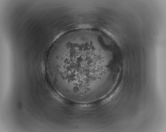 X0000113071401200908281145