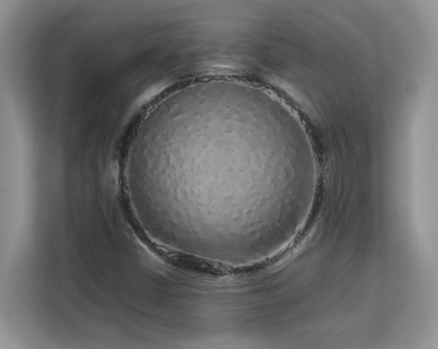 X0000113071402200908281145