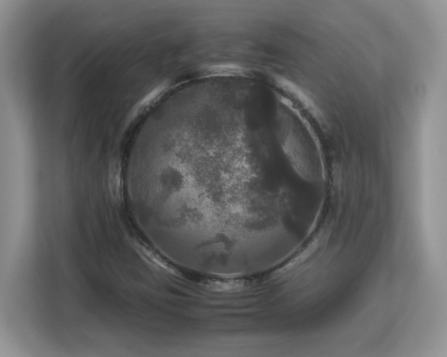 X0000113071403200908281145