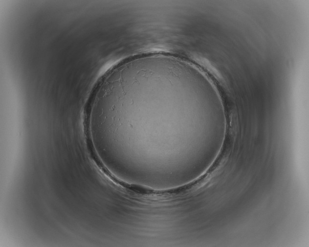 X0000113071404200908281145