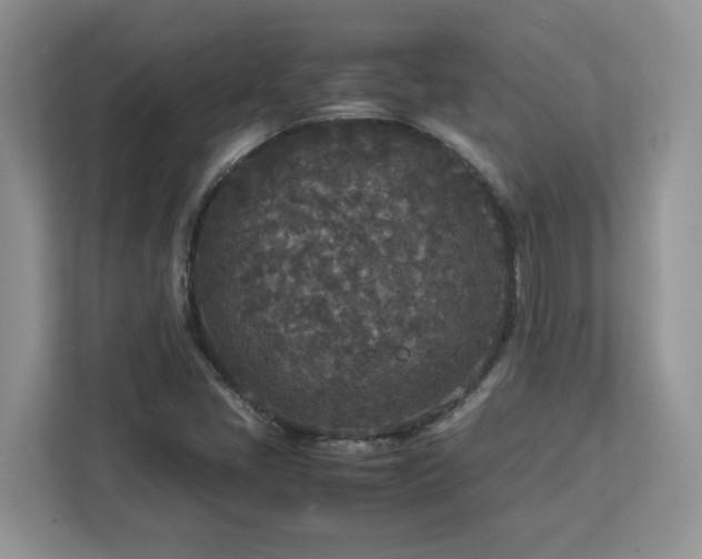 X0000113071405200908281145