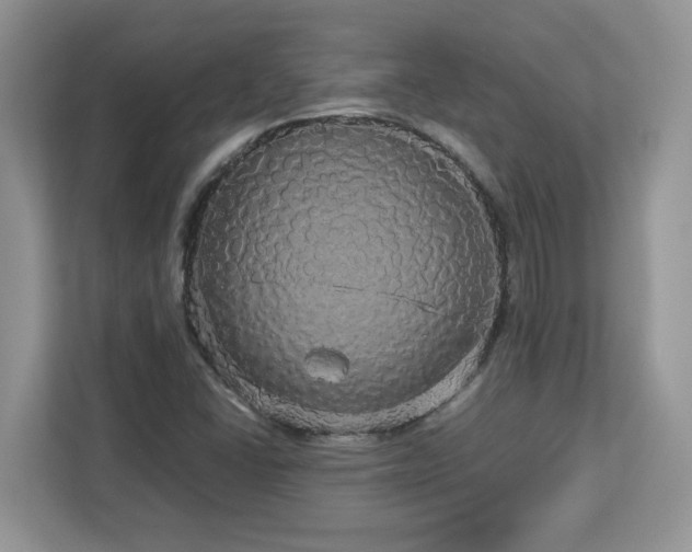X0000113071406200908281145
