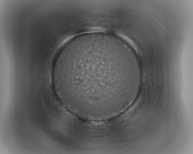 X0000113071407200908281145