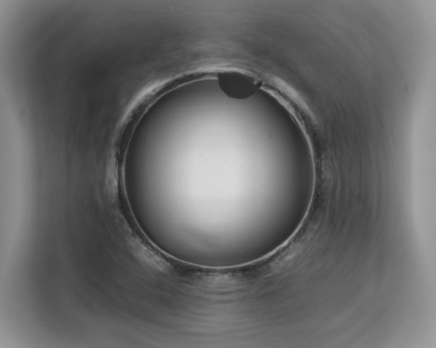 X0000113071408200908281145