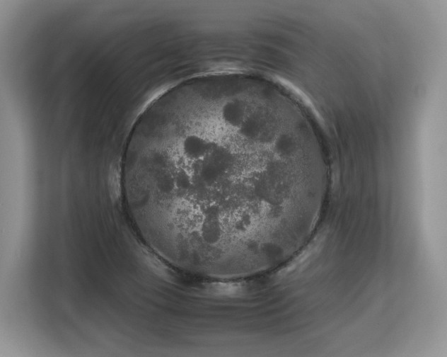 X0000113071409200908281145