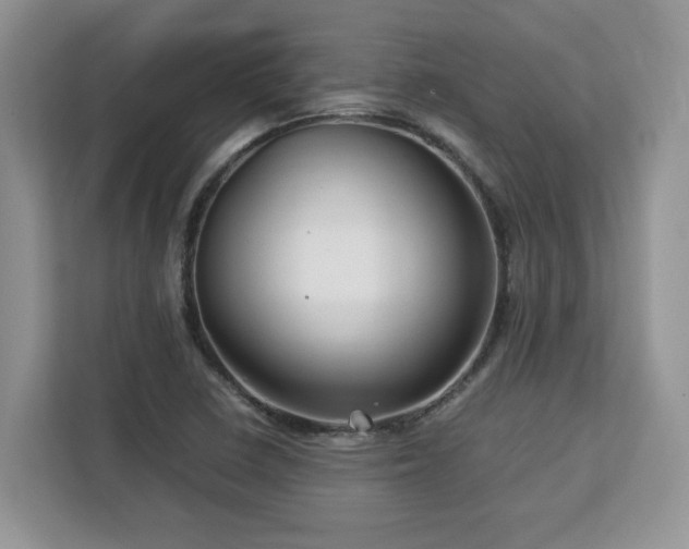 X0000113071410200908281145