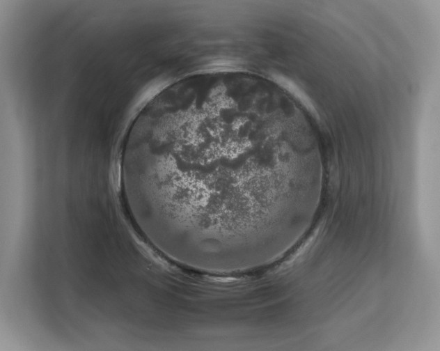 X0000113071413200908281145