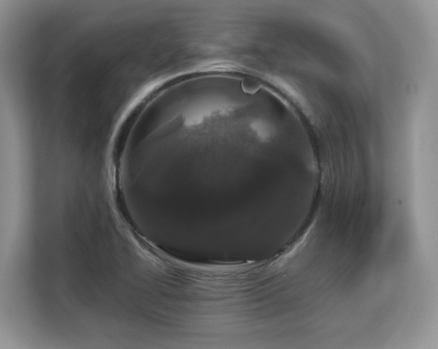 X0000113071414200908281145