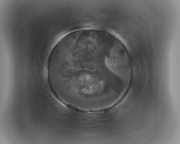 X0000113071415200908281145
