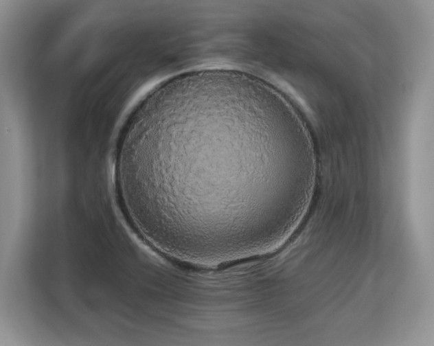 X0000113071416200908281145