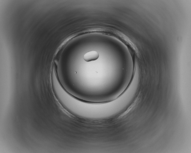 X0000113071417200908281145