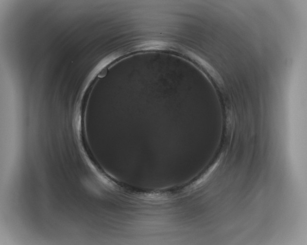 X0000113071418200908281145