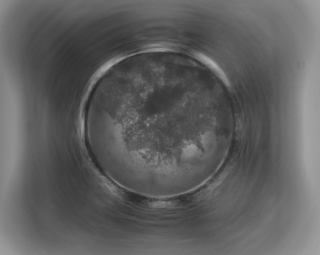 X0000113071419200908281145