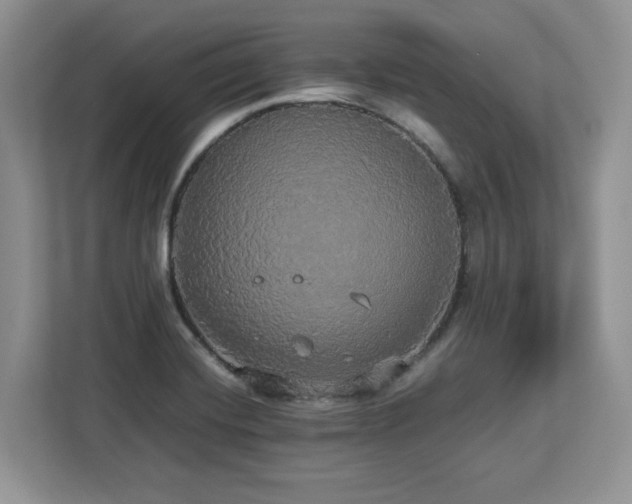 X0000113071420200908281145