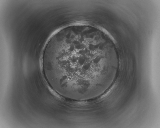 X0000113071421200908281145