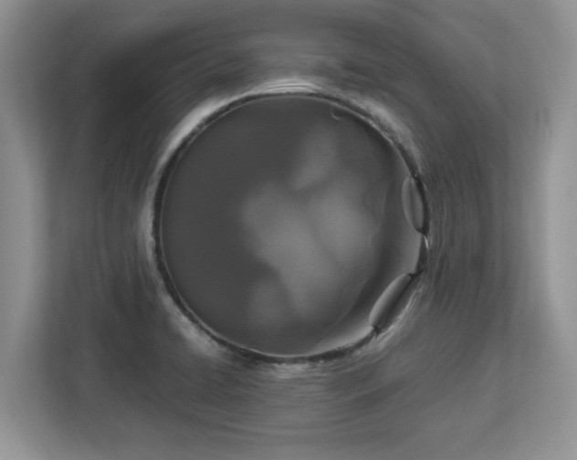 X0000113071422200908281145