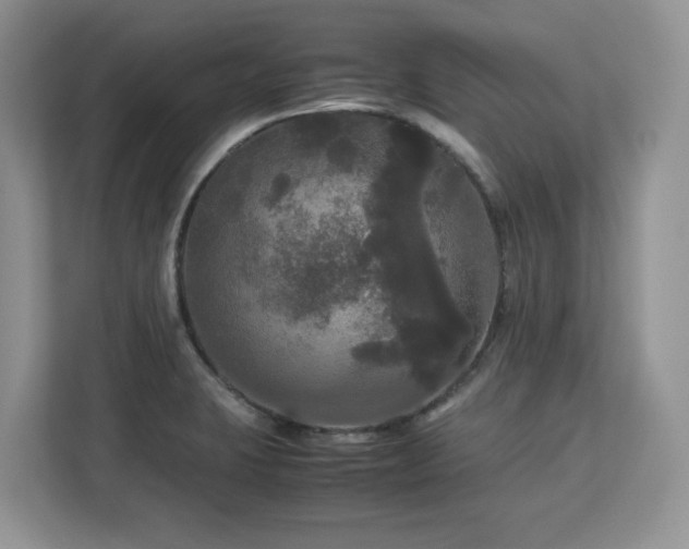 X0000113071423200908281145