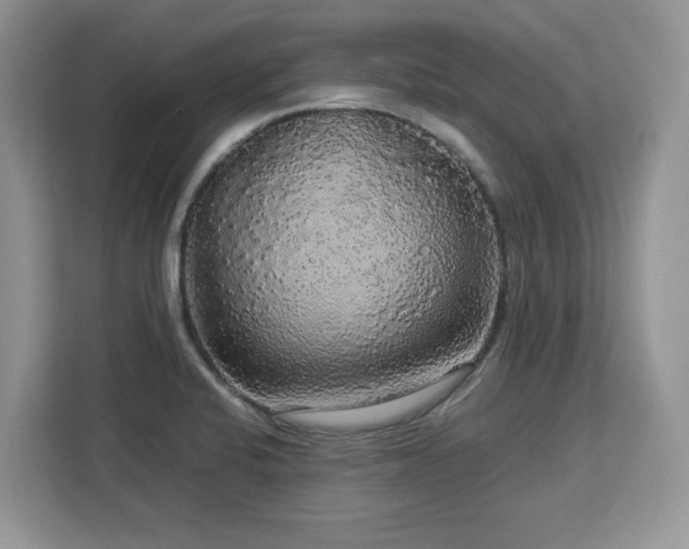X0000113071424200908281145