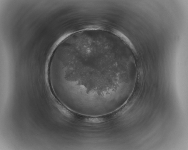 X0000113071427200908281145