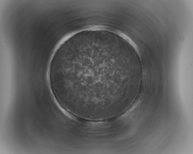 X0000113071429200908281145