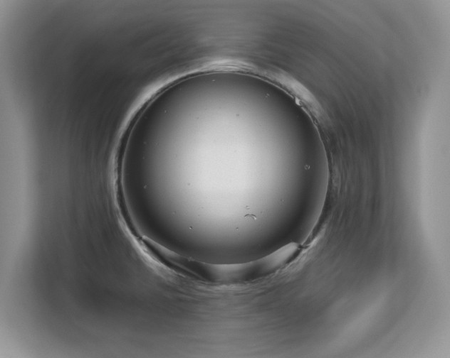 X0000113071430200908281145