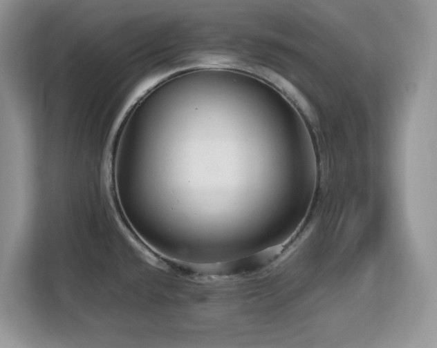 X0000113071432200908281145