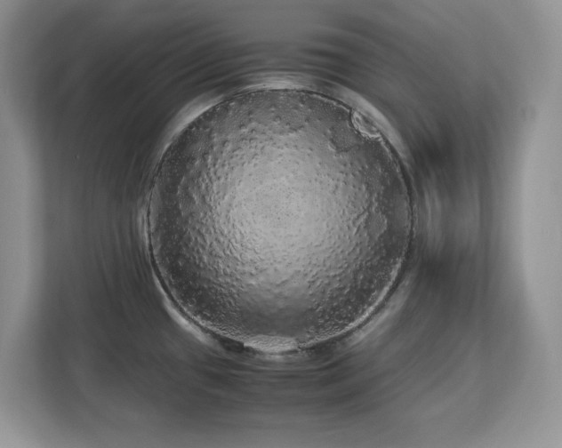 X0000113071433200908281145