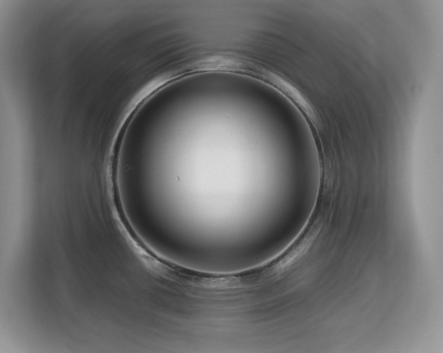 X0000113071434200908281145