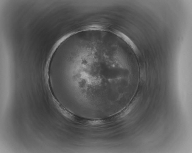 X0000113071435200908281145