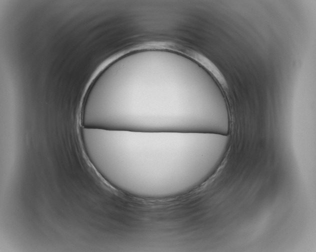 X0000113071436200908281145