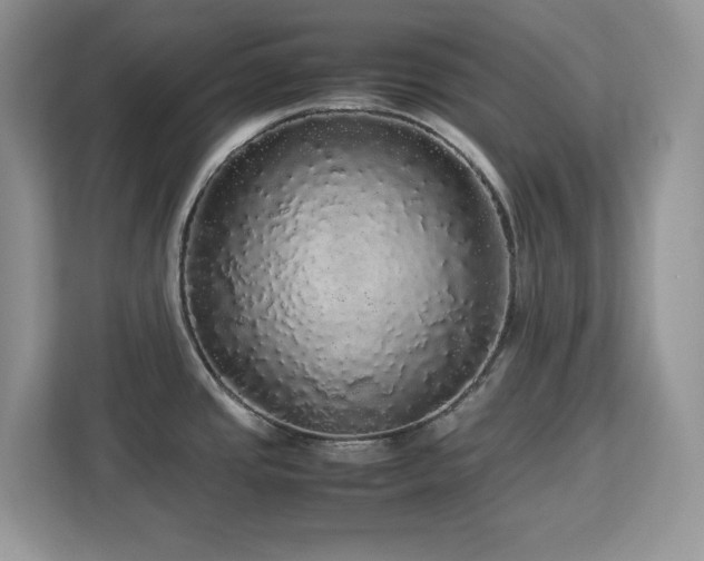 X0000113071437200908281145