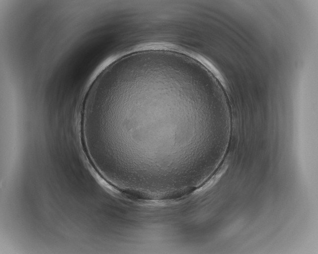 X0000113071438200908281145