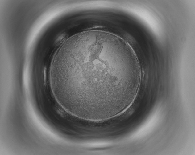 X0000113071439200908281145