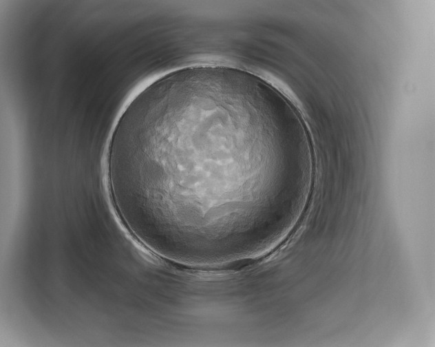 X0000113071440200908281145