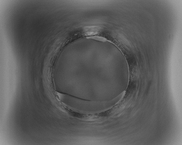 X0000113071441200908281145