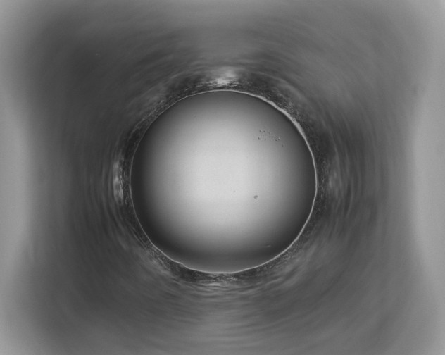 X0000113071442200908281145