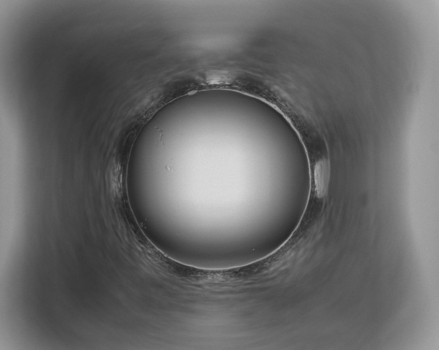 X0000113071443200908281145
