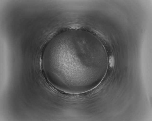 X0000113071444200908281145