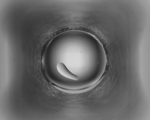 X0000113071445200908281145