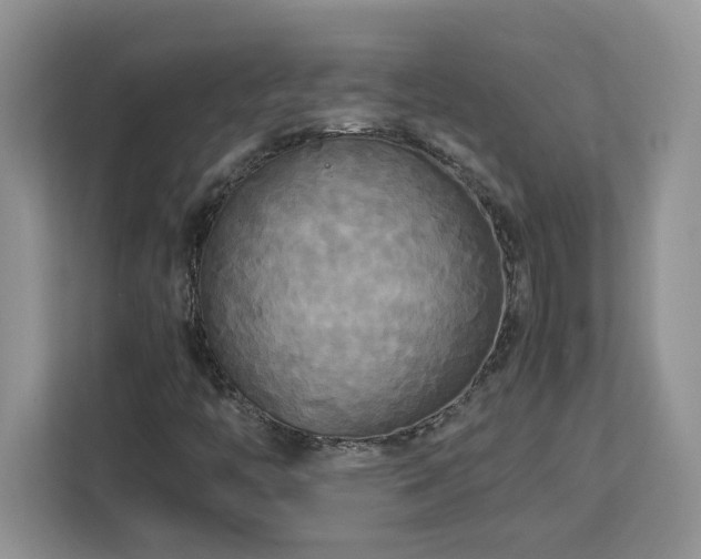 X0000113071446200908281145